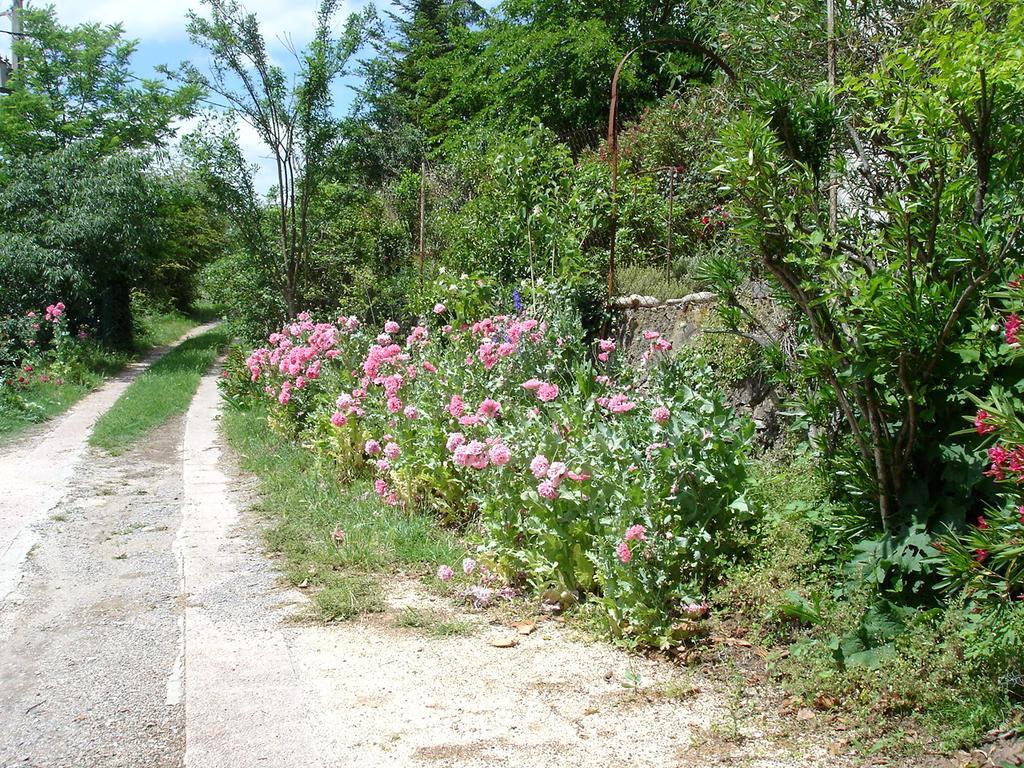 La Colline Bleue Acomodação com café da manhã Banne Exterior foto